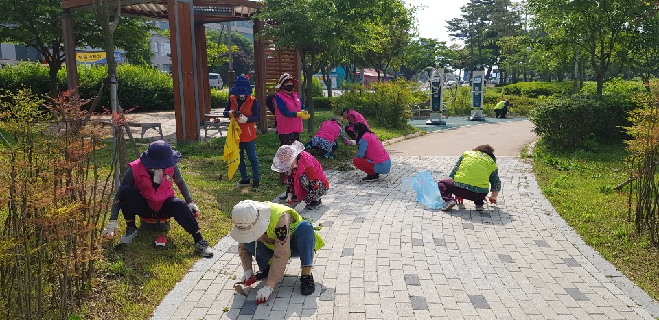 자원봉사의날 환경정화