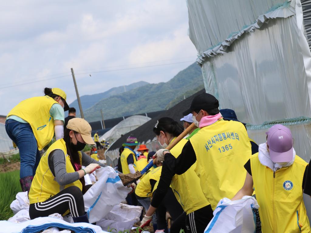 천안지역 수해복구지원 자원봉사-3